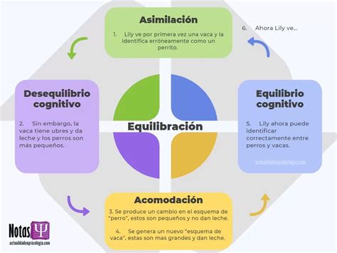 esquemas segun piaget